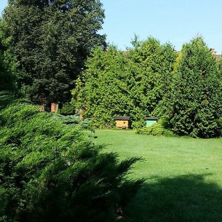 Kwiatowa Zagroda Białowieża المظهر الخارجي الصورة