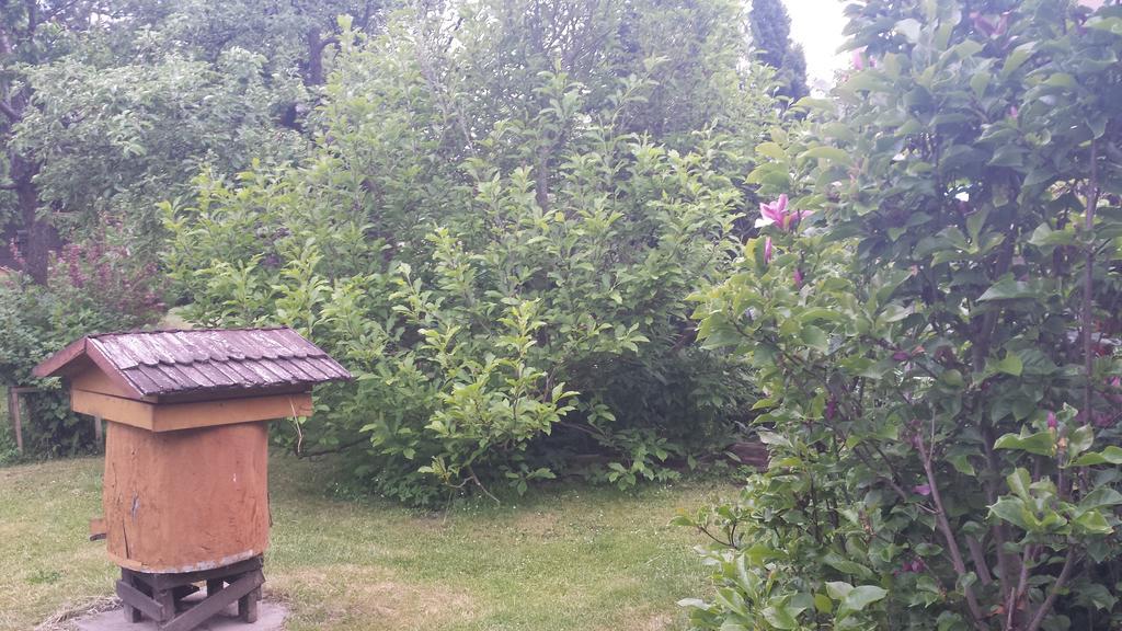 Kwiatowa Zagroda Białowieża المظهر الخارجي الصورة