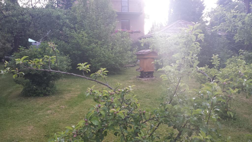 Kwiatowa Zagroda Białowieża المظهر الخارجي الصورة