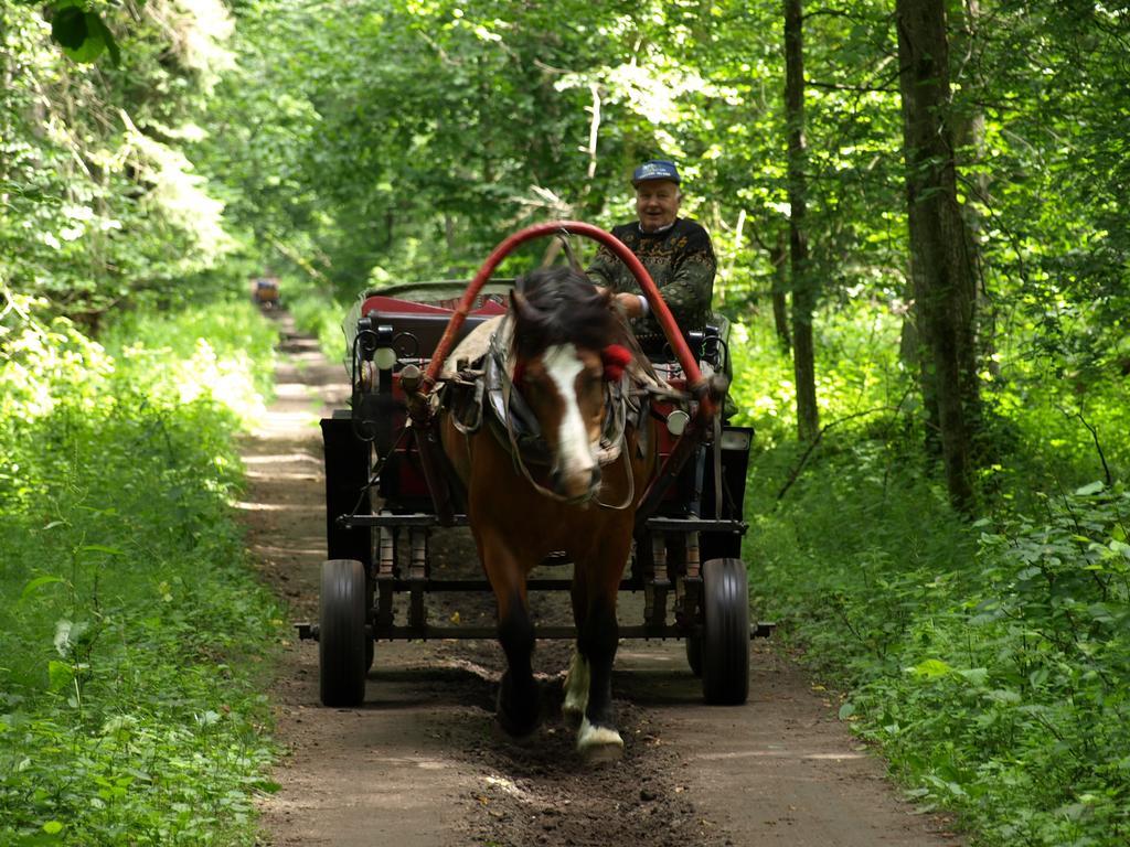 Kwiatowa Zagroda Białowieża المظهر الخارجي الصورة