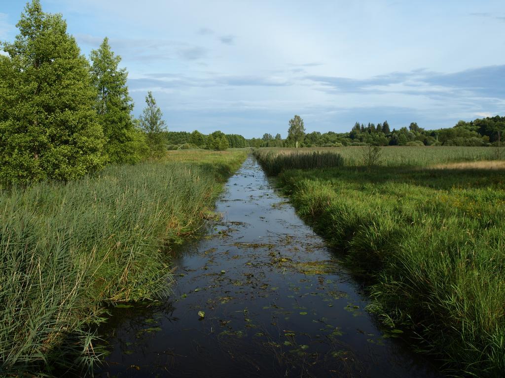 Kwiatowa Zagroda Białowieża المظهر الخارجي الصورة