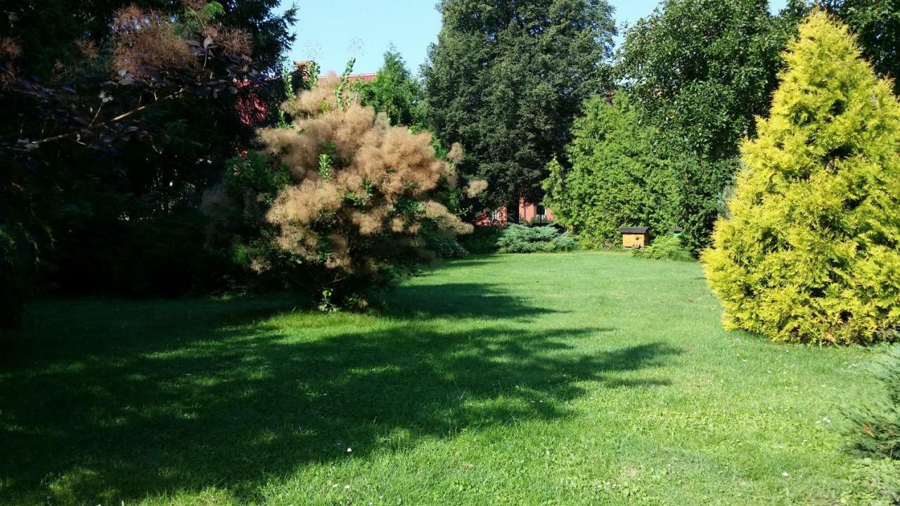 Kwiatowa Zagroda Białowieża المظهر الخارجي الصورة